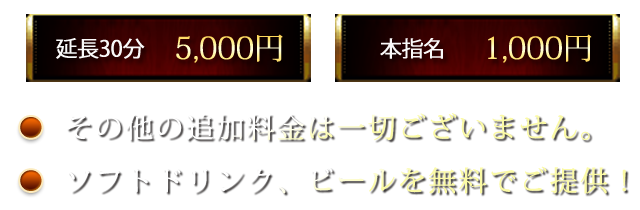 「料金システム」